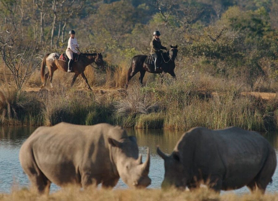 saddle-safaris-home
